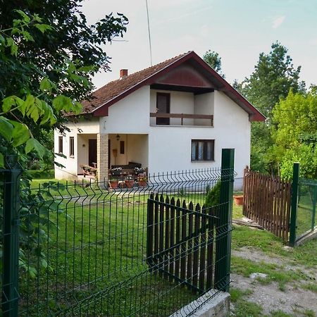 Kuca Za Odmor Radovanovic デスポトヴァツ エクステリア 写真