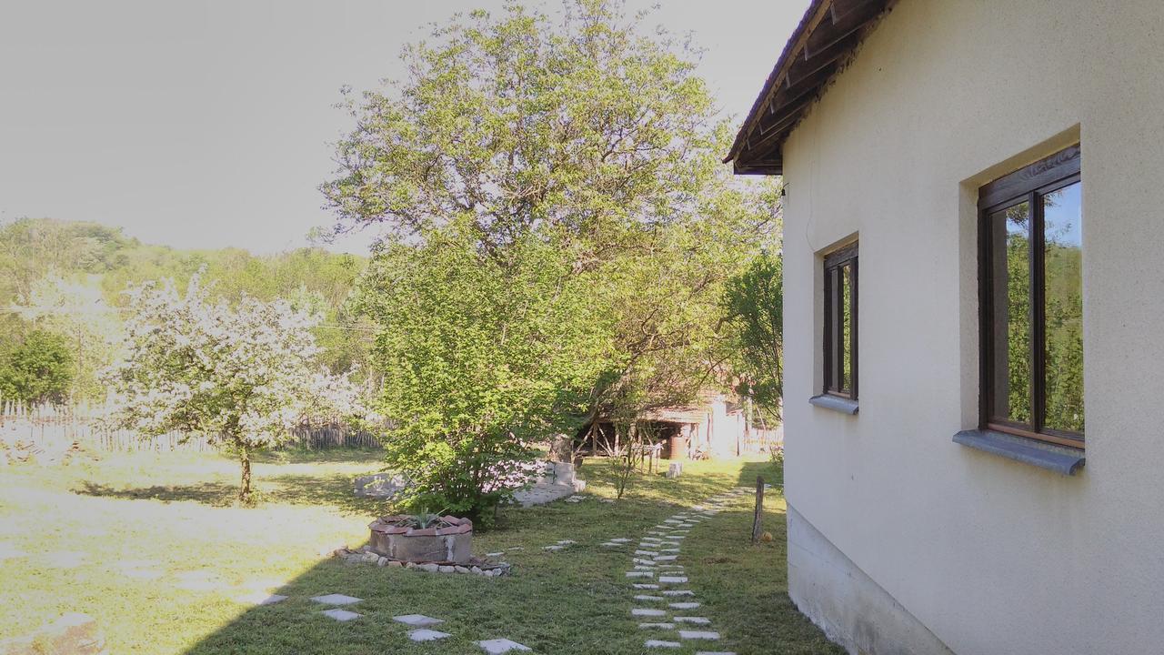 Kuca Za Odmor Radovanovic デスポトヴァツ エクステリア 写真
